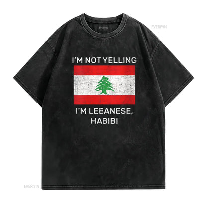 Not Yelling Lebanese Habibi Lebanon Flag T Shirt