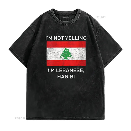 Distressed Lebanese Flag Pride Oversized T-Shirt