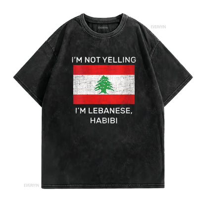 Not Yelling Lebanese Habibi Lebanon Flag T Shirt