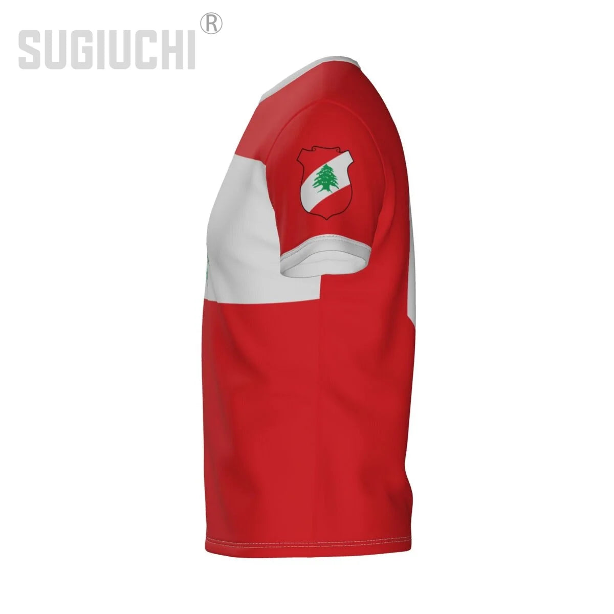 Custom Name Number Lebanon Flag Emblem 3D T-shirts