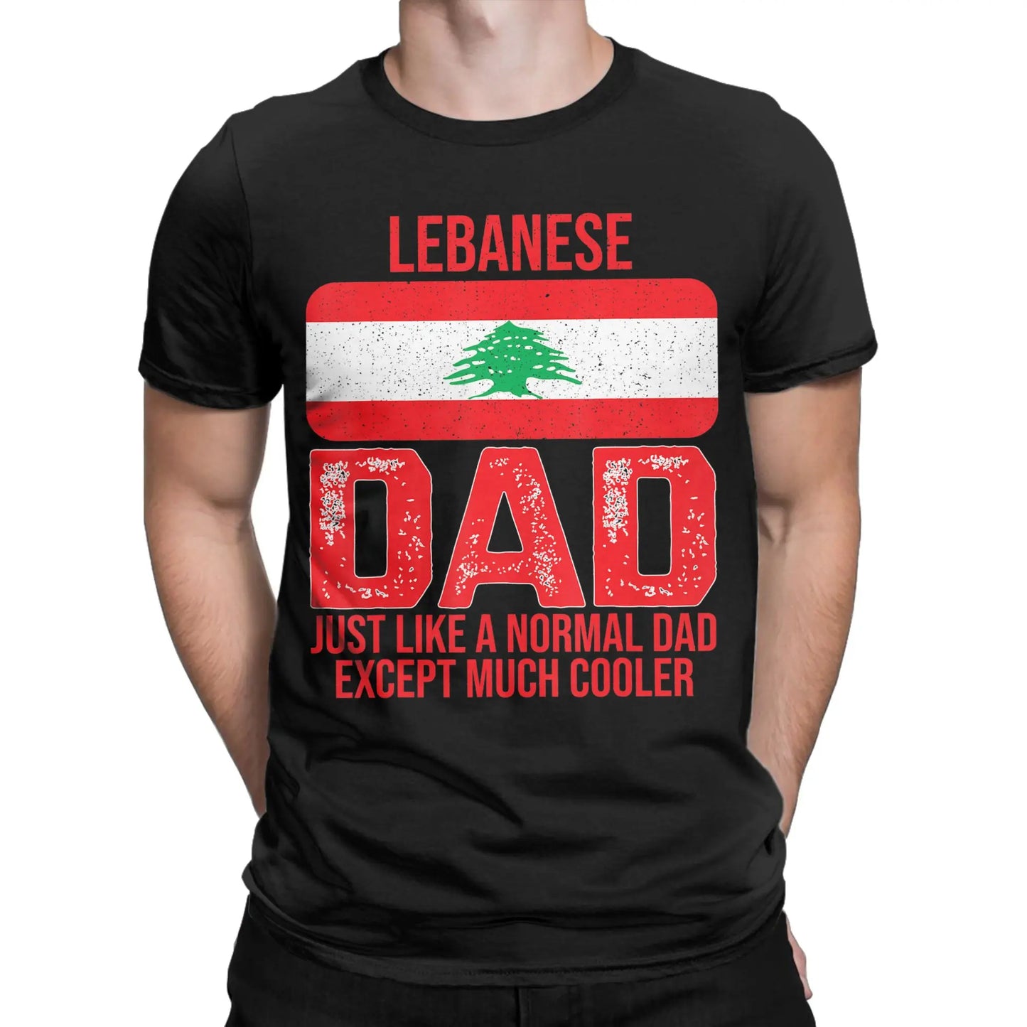 Lebanese Dad Lebanon Flag T Shirt